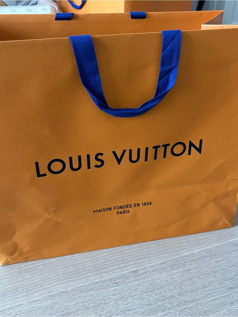 Louis Vuitton Medium Large Shopping Gift Bag